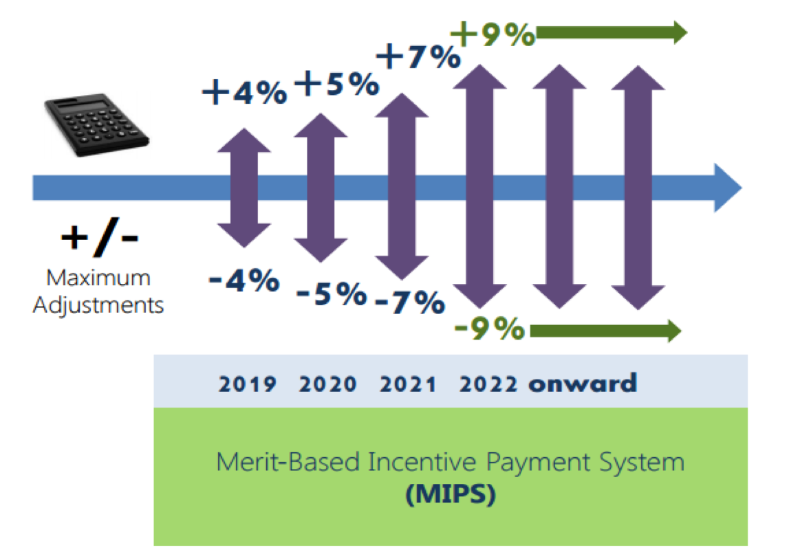 MIPS Timeline Explained